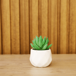 Artificial Succulent