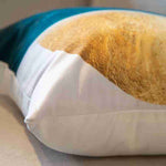 Green and Gold Colour Pillow Cover