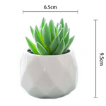 Artificial Succulent