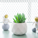 Artificial Succulent