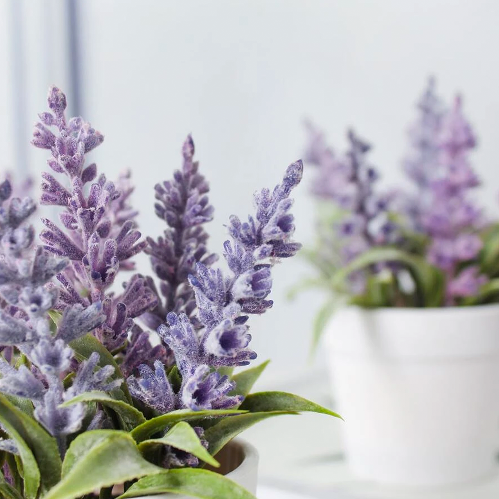 Artificial Plants Colombo Lavender Plant Finez Home Décor finez.lk